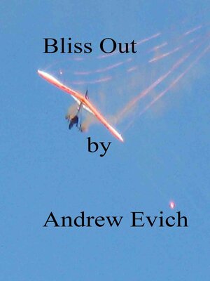 cover image of Bliss Out